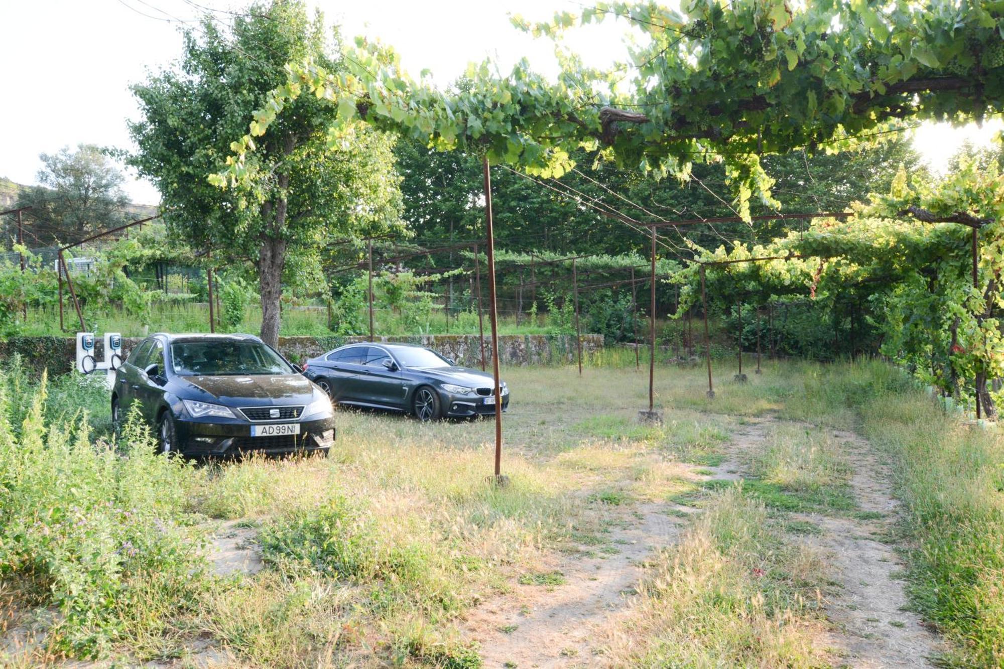 Quinta Do Fundo Villa Mondim de Basto Exterior photo